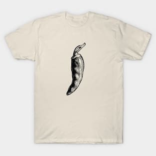 Chili Enthusiast T-Shirt